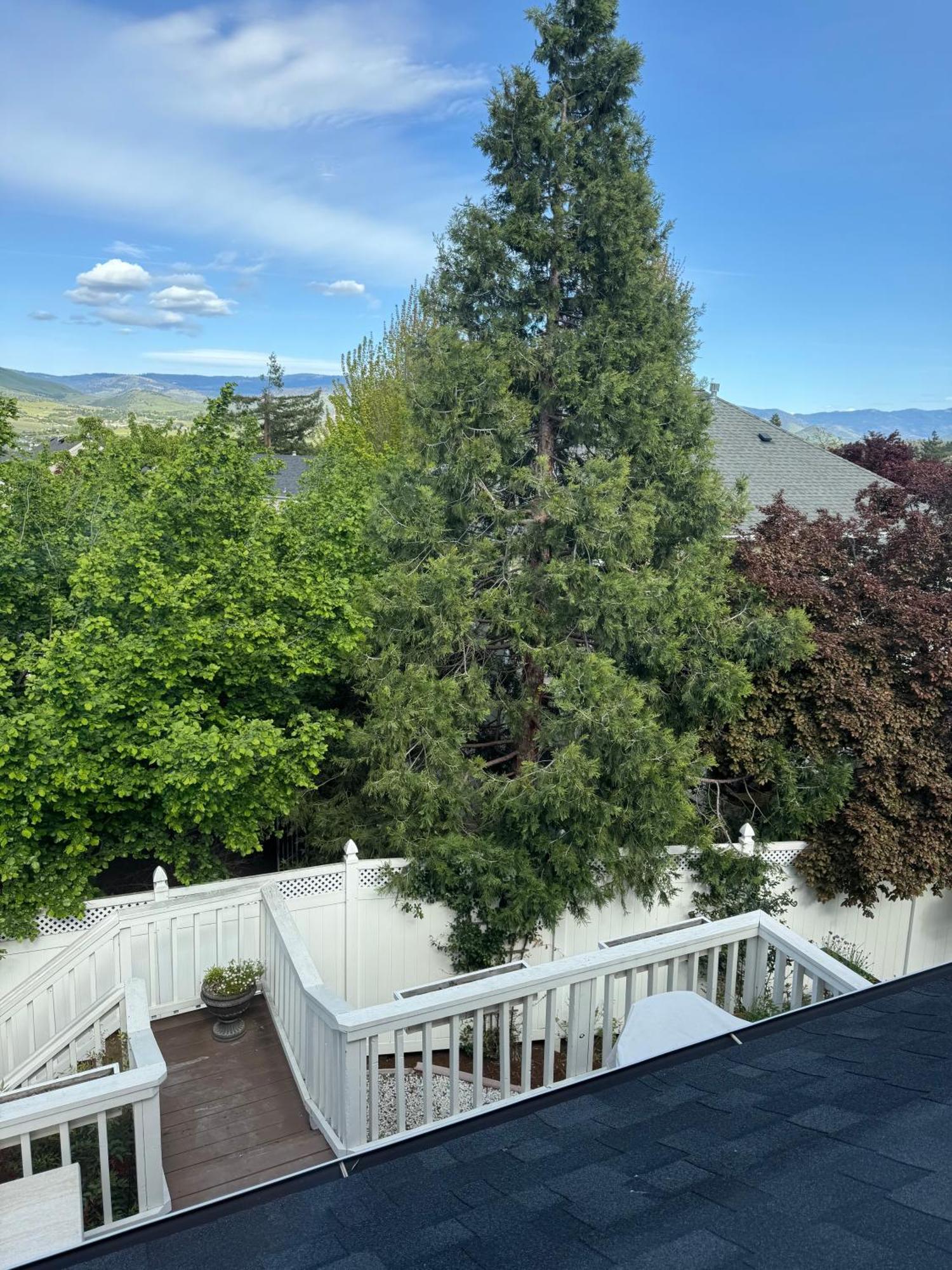 Bayberry Inn B&B And Oregon Wellness Retreat Ashland Exteriér fotografie